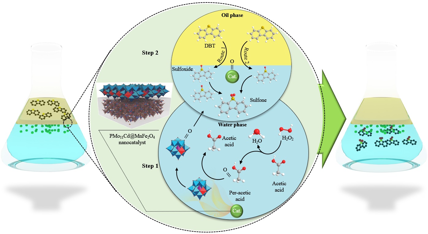 Oxidative desulfurization pathway, PMo11CdO